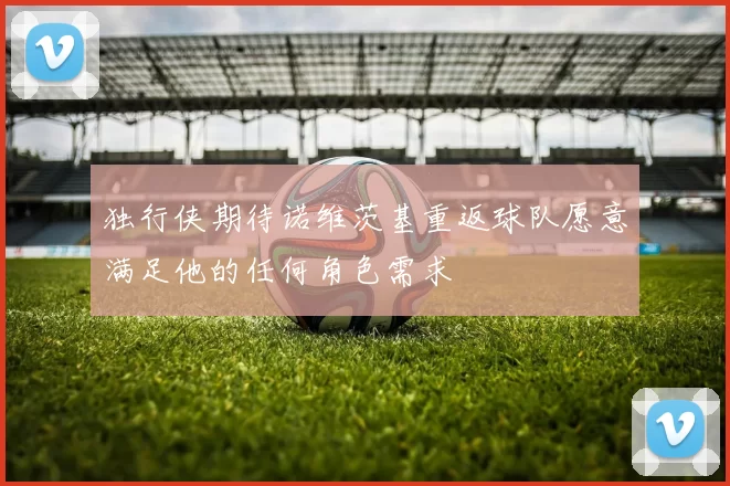 独行侠期待诺维茨基重返球队愿意满足他的任何角色需求