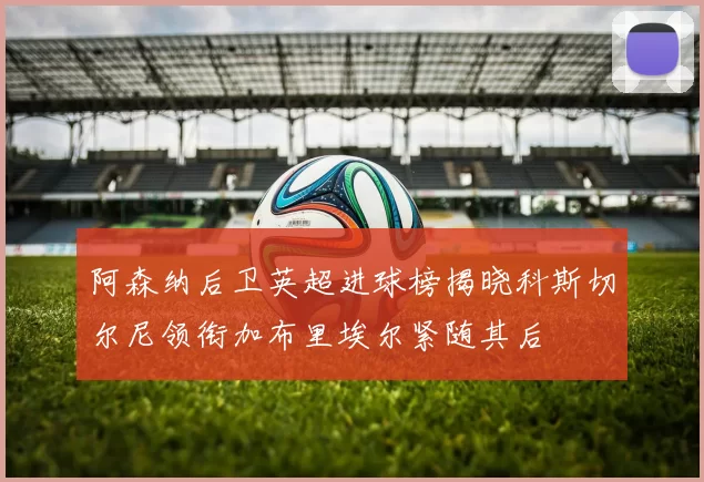 阿森纳后卫英超进球榜揭晓科斯切尔尼领衔加布里埃尔紧随其后