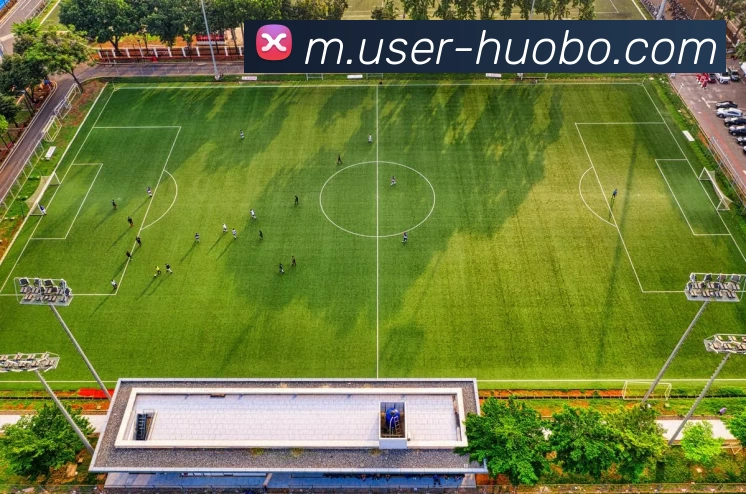 多媒体互动体验